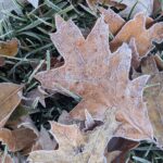Cold Climate